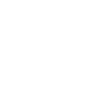 عميل 29