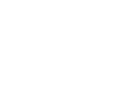 عميل 46